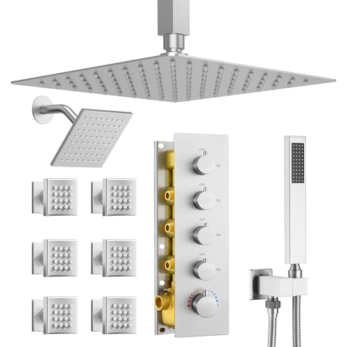 Dasan Thermostatic Dual Shower Head