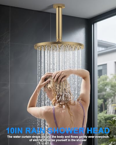 Shower System with Pressure Balance view 3